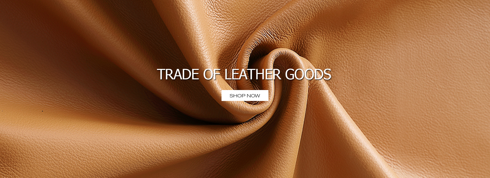 Cangnan Hongyi Leather Goods Co., Ltd.